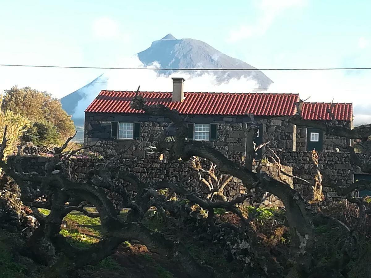 Villa A Casa Da Formosinha à Madalena  Extérieur photo